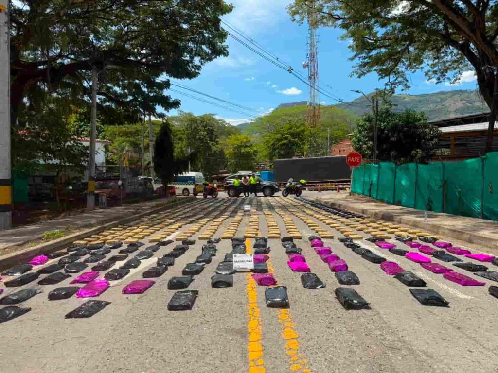 Policía incauta más de media tonelada de marihuana en La Pintada, Antioquia