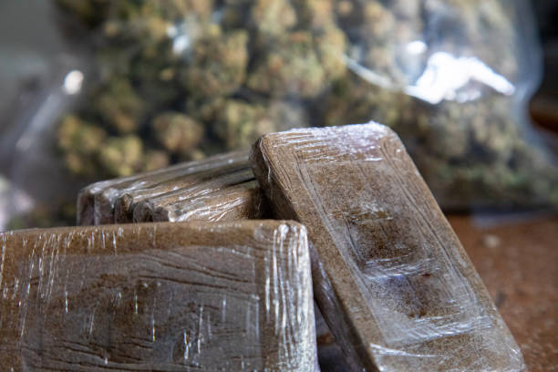 Golpe al narcotráfico en La Victoria: incautan más de 305 kilos de marihuana en dos vehículos